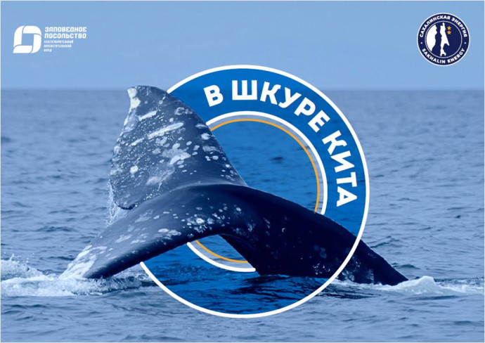 Экоурок ко Всемирному дню океанов "В шкуре кита"