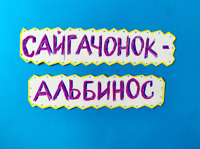 ​О премьере мультфильма &laquo;Сайгачонок-альбинос&raquo; в отделе обслуживания дошкольников и младших школьников. О большой радости