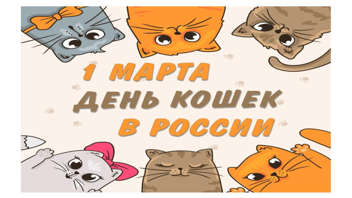познавательный час «Кошки – мяу - это кошки!» познавательный час «Кошки – мяу - это кошки!»