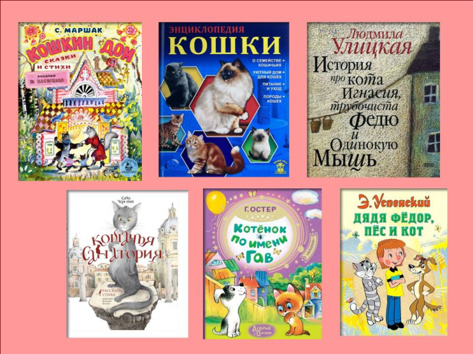Познавательно-игровая программа «Мягкие лапки, а в лапках царапки» Познавательно-игровая программа «Мягкие лапки, а в лапках царапки»