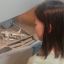 Урок безопасности "Волшебное электричество" 15