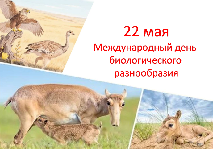 Международного дня биологического разнообразия (22 мая)